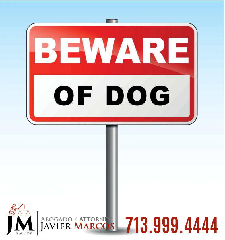 Dog bite claim | Attorney Javier Marcos