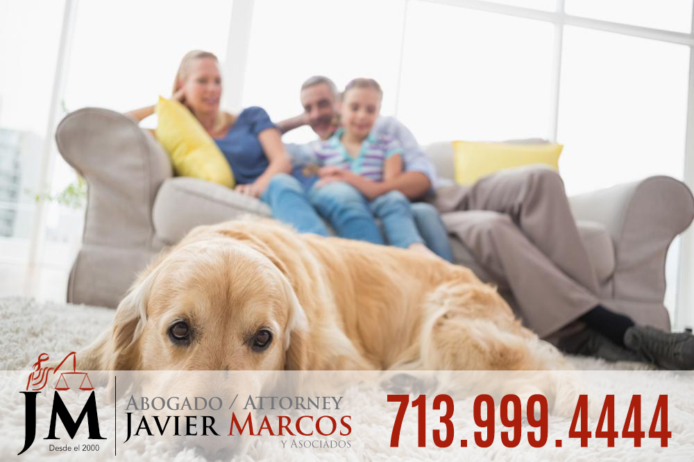 Dog bite claim | Attorney Javier Marcos 713.999.4444