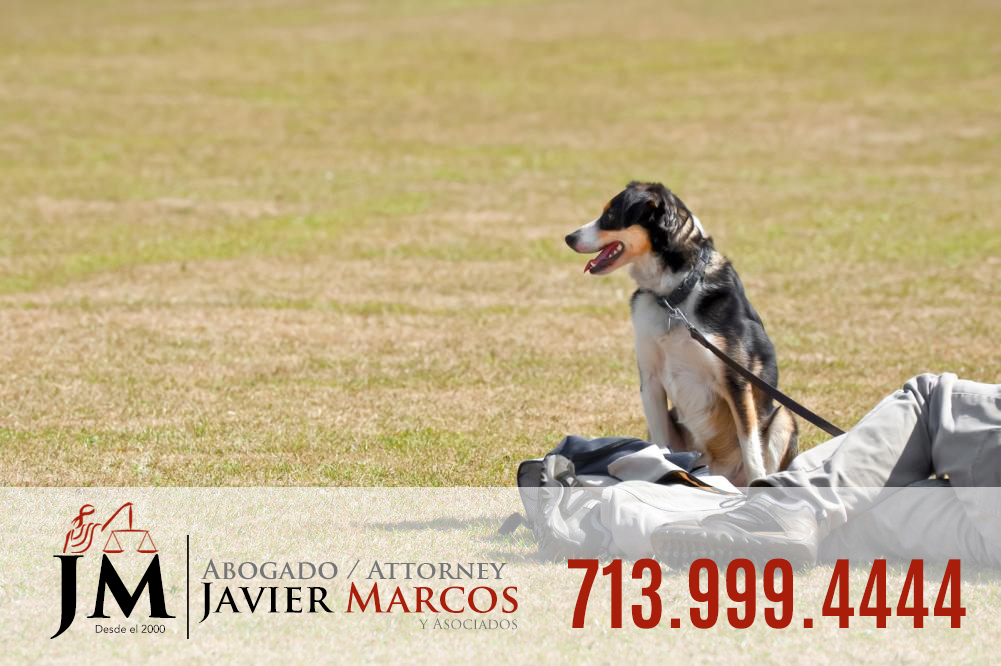 Dog leash laws | Attorney Javier Marcos 713.999.4444