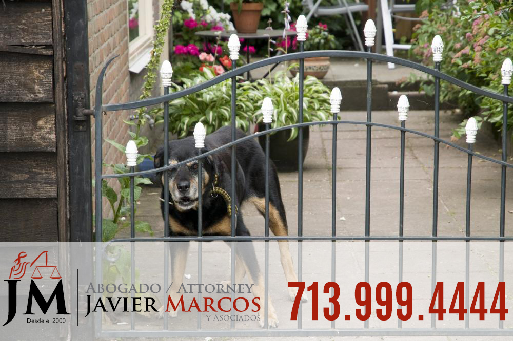 Dog bite claims | Attorney Javier Marcos 713.999.4444