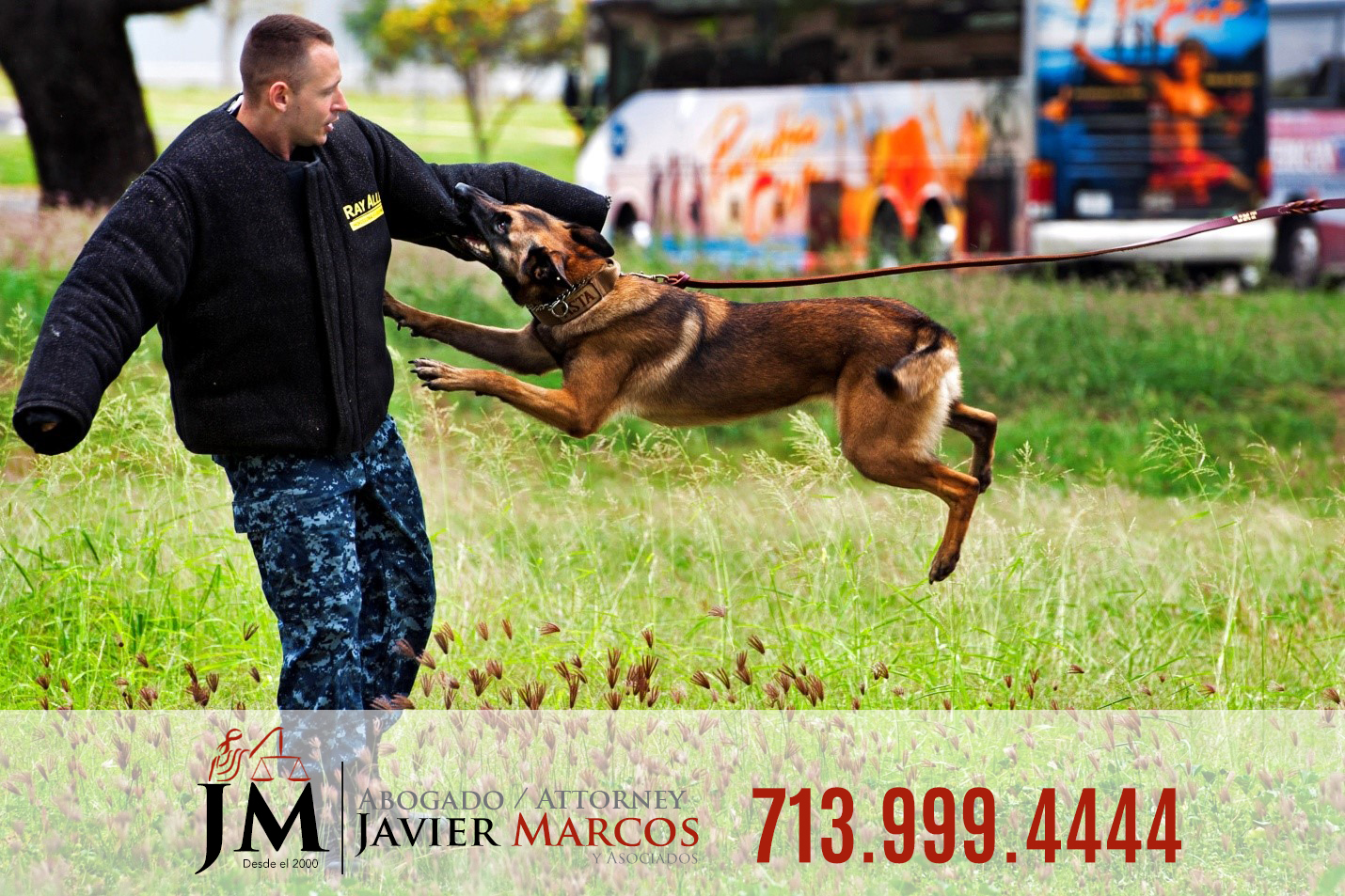 Dog bite accident | Attorney Javier Marcos | 713.999.4444